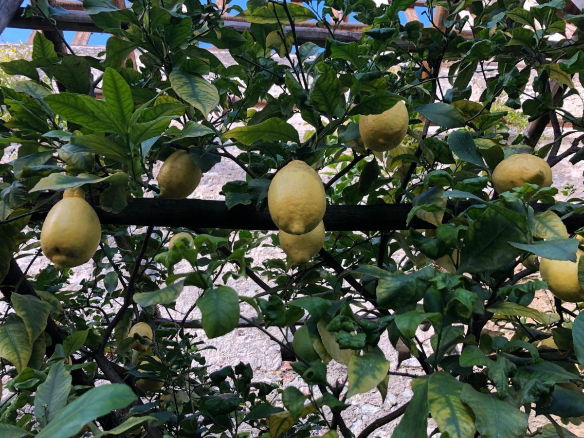Appartamento Trentino II Comano Terme Exterior foto
